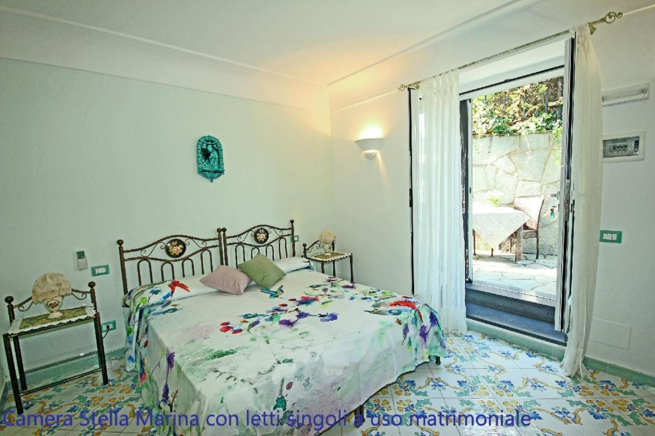 Bed & Breakfast Cavalluccio Marino