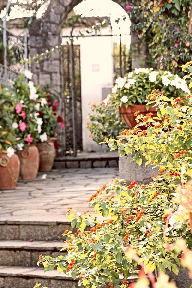 Bed & Breakfast Cavalluccio Marino Anacapri (Isola di Capri)