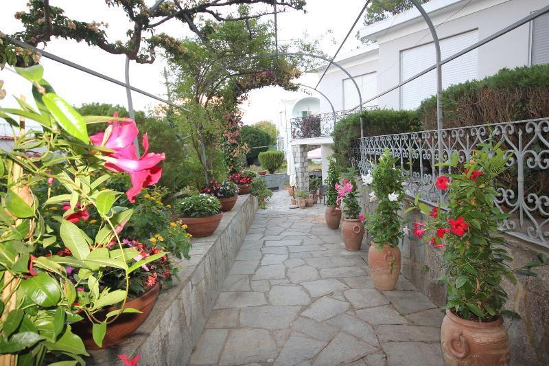 Bed & Breakfast Cavalluccio Marino