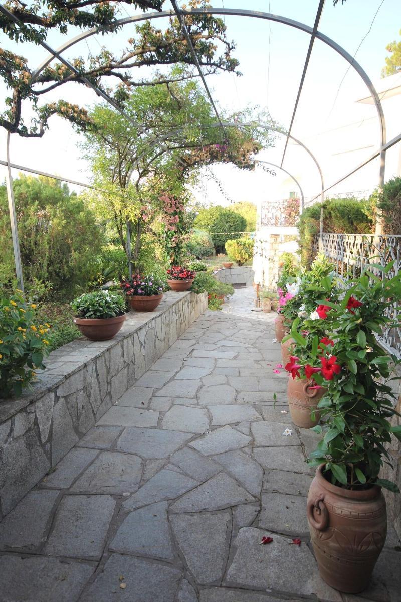 Cavalluccio Marino Bed & Breakfast