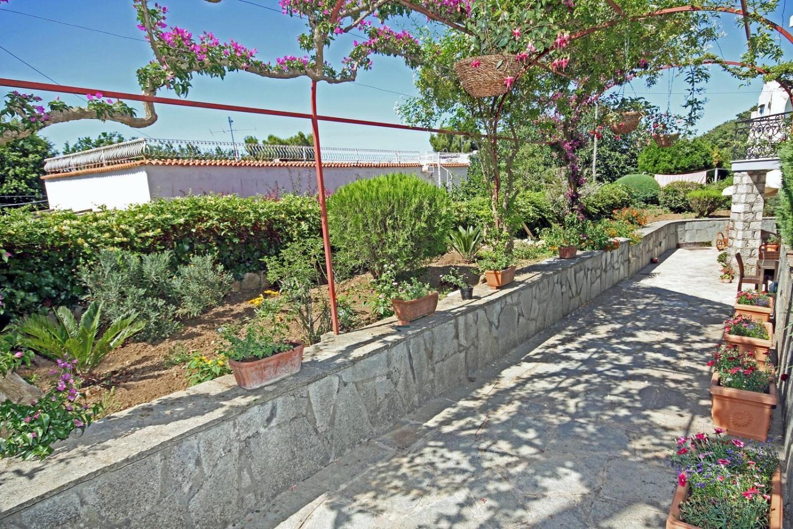 Bed & Breakfast Cavalluccio Marino Anacapri (Isola di Capri)